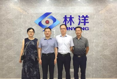 打造更加智慧高效的能源服務,安徽林洋新能源科技成立智慧能源事業部