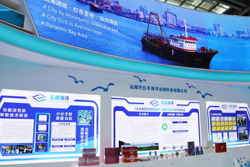 向海圖強(qiáng)，攜手繪就藍(lán)色發(fā)展新畫卷——深圳汕尾合作助推海洋經(jīng)濟(jì)高質(zhì)量發(fā)展